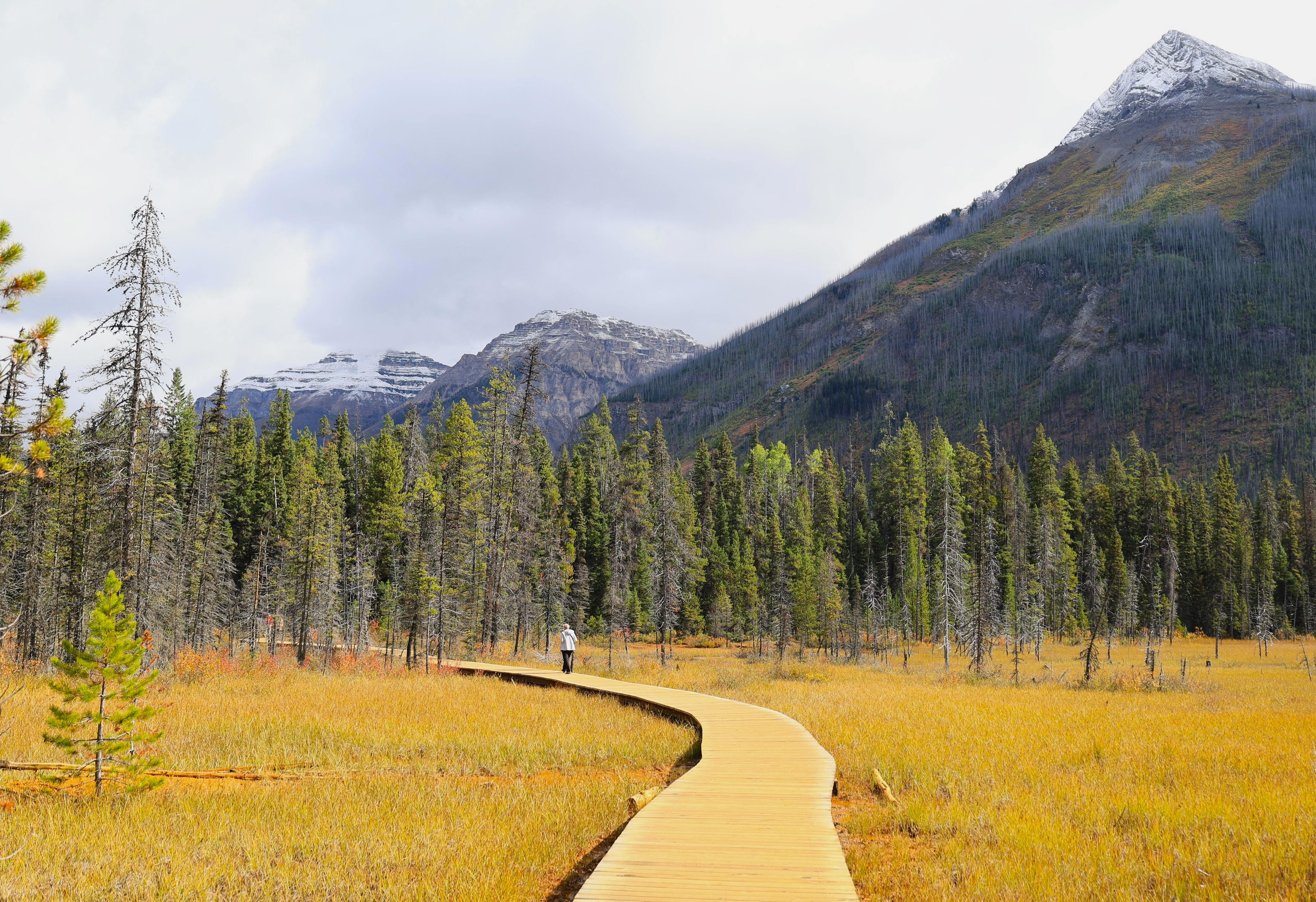 Rocky Mountains